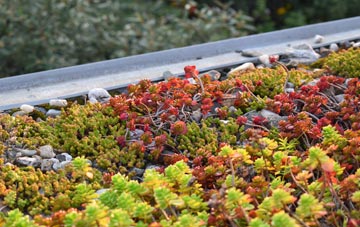 the cost of Dawshill green roof installation